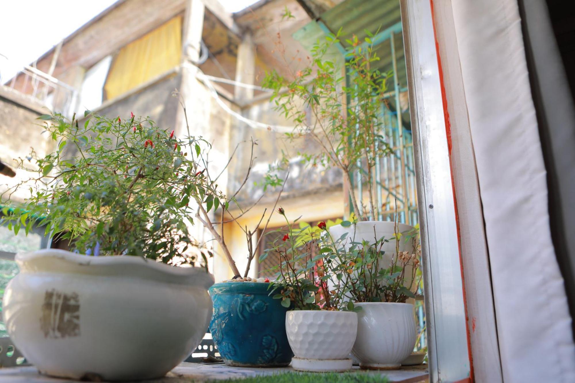 My House Căn hộ